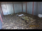 Russian Federation Customs officers discovered 4,100 turtles when inspecting a truck that the smugglers had claimed to contain cabbage.